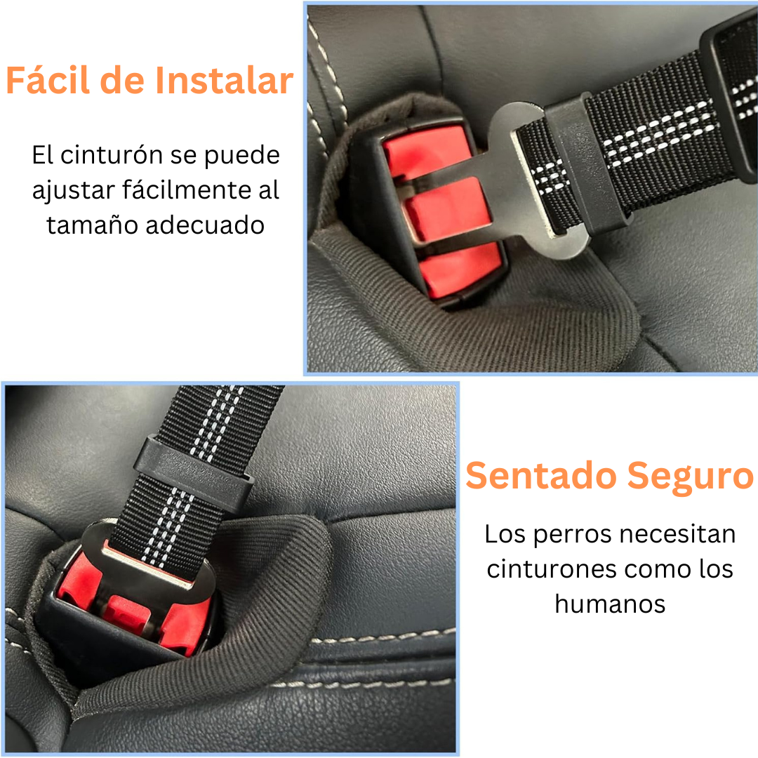 Cinturón Ajustable para Coche