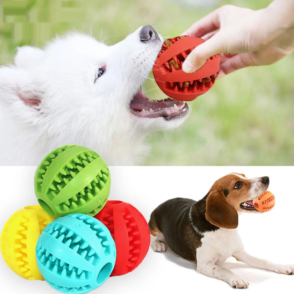 Pelota Interactiva Limpieza Dientes