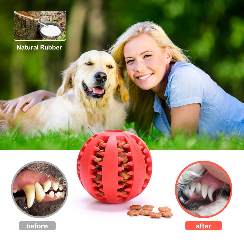 Pelota Interactiva Limpieza Dientes