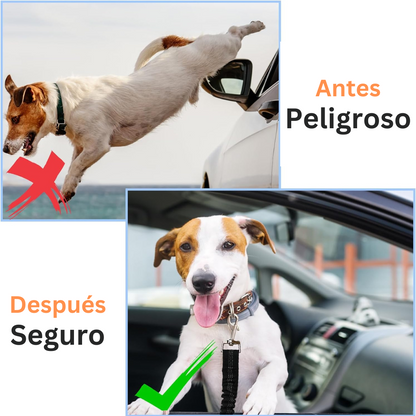 Cinturón Ajustable para Coche